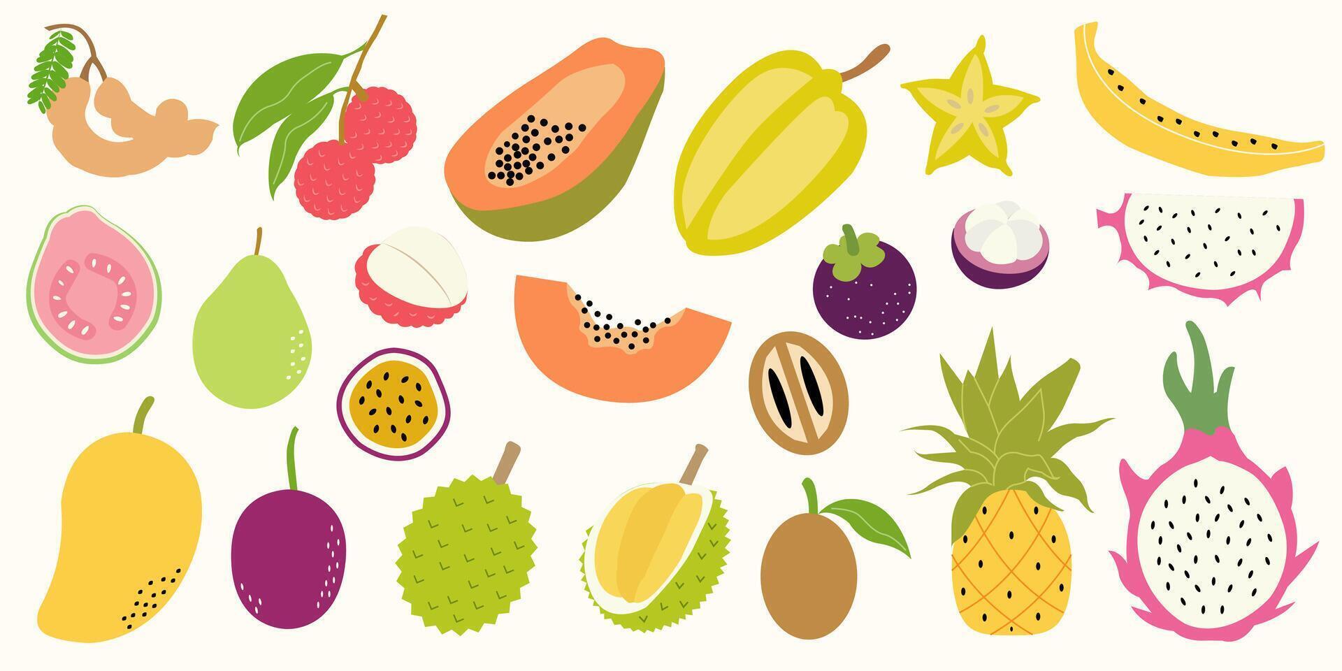 Colorful hand drawn tropical fruits. vector