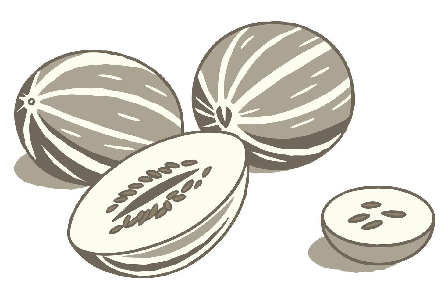 Delicious Ripe Cantaloupe Melons Sliced and Whole on White Background, Summer Mood - Professional digital artwork with vibrant colors and detailed composition vector