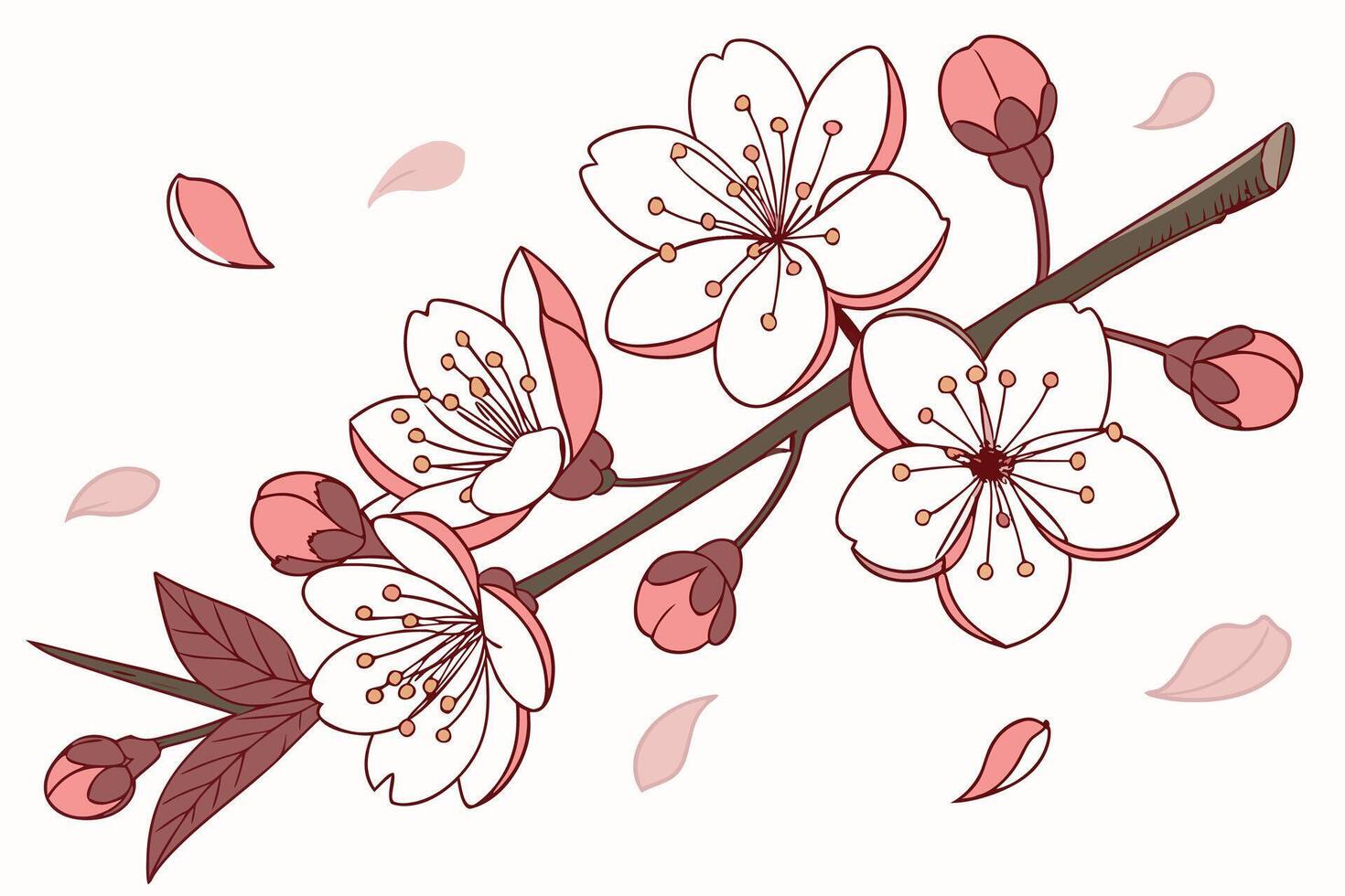 Delicate Pink Cherry Blossoms in Full Bloom, Gently Falling Petals on a Branch, Springtime Serenity vector
