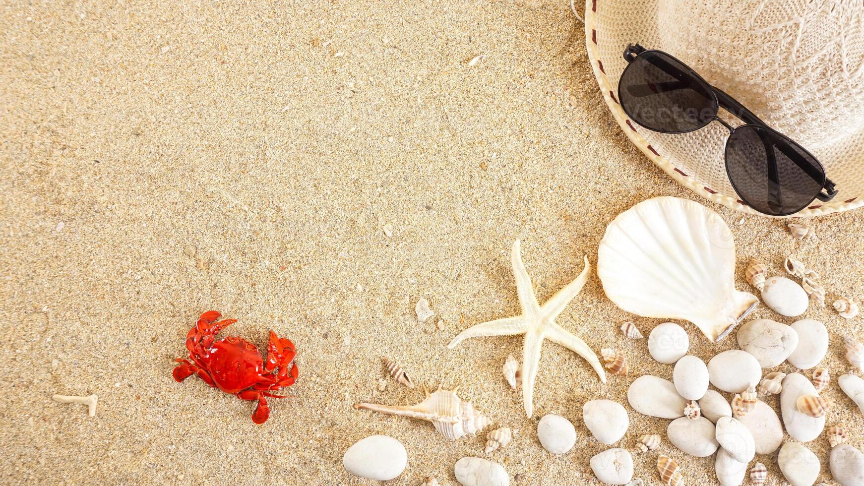 Top view of flat lay composition with starfish, crab, and seashells isolated on beach sand background photo