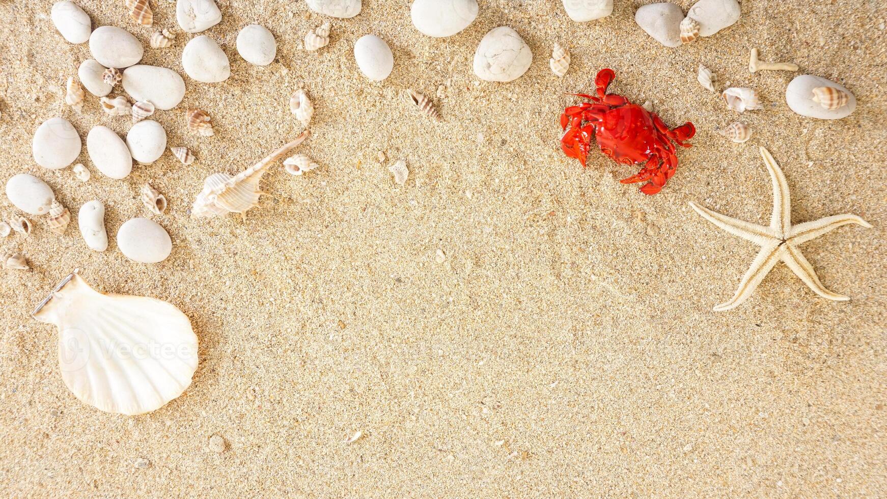 Top view of flat lay composition with summer hat, sunglasses, starfish, crab, and seashells isolated on beach sand background photo
