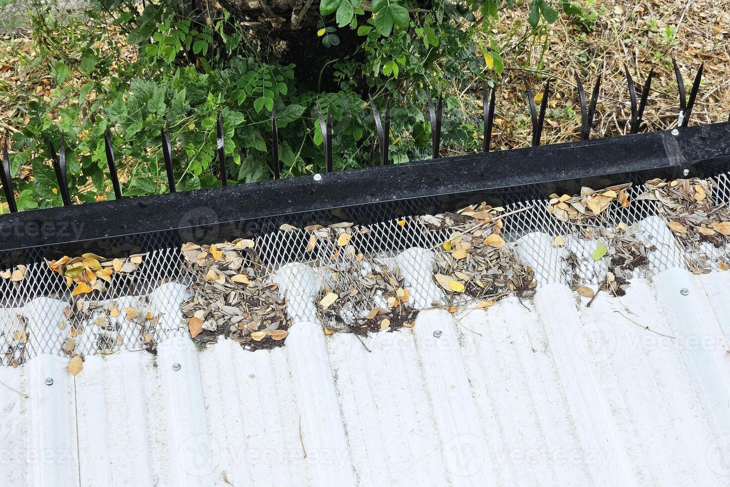 Dried Leaves on the Roof, Suitable for House Problems and Solutions. photo