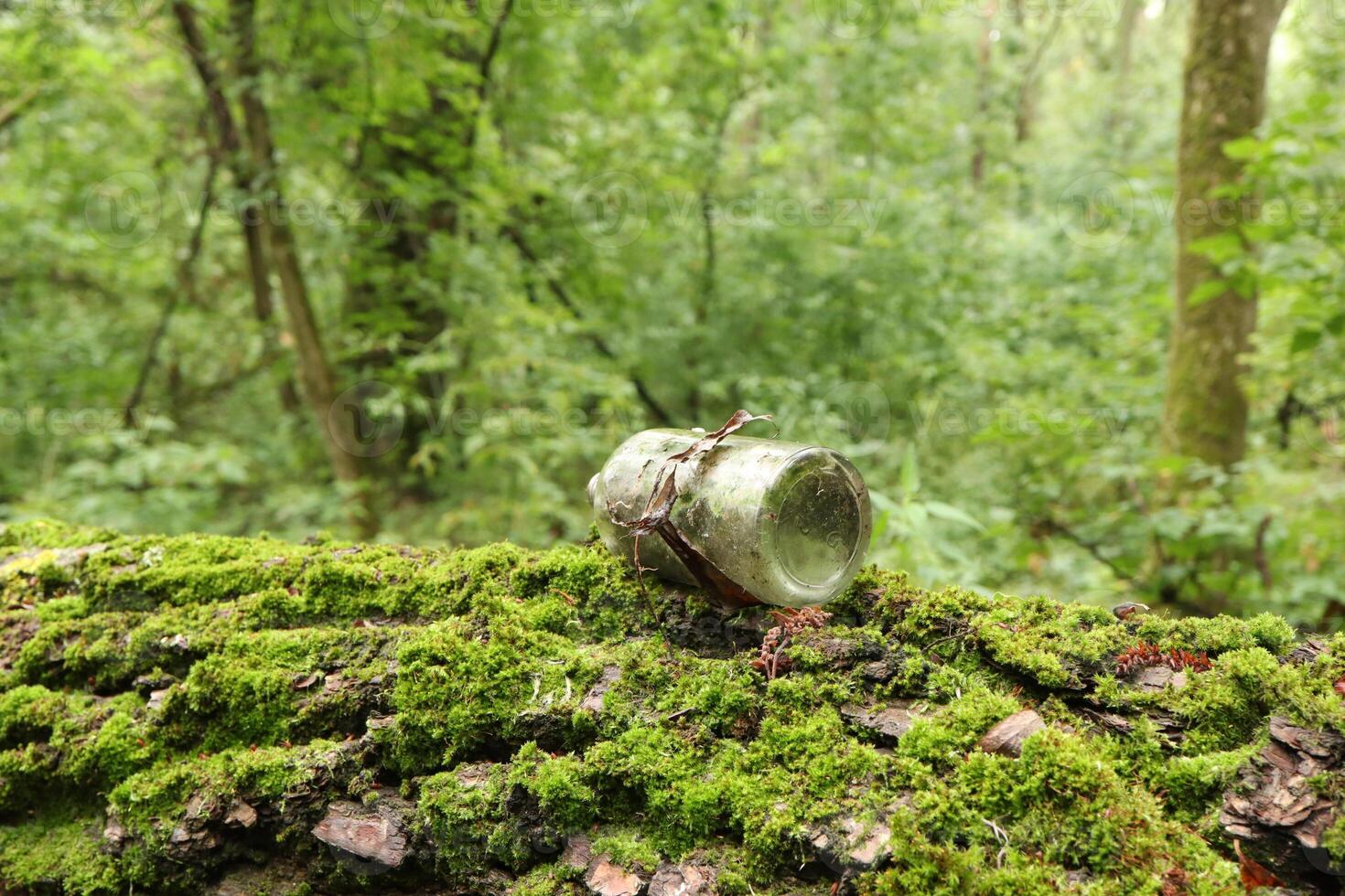 Glass bottle on a fallen tree, ecology in a summer forest photo