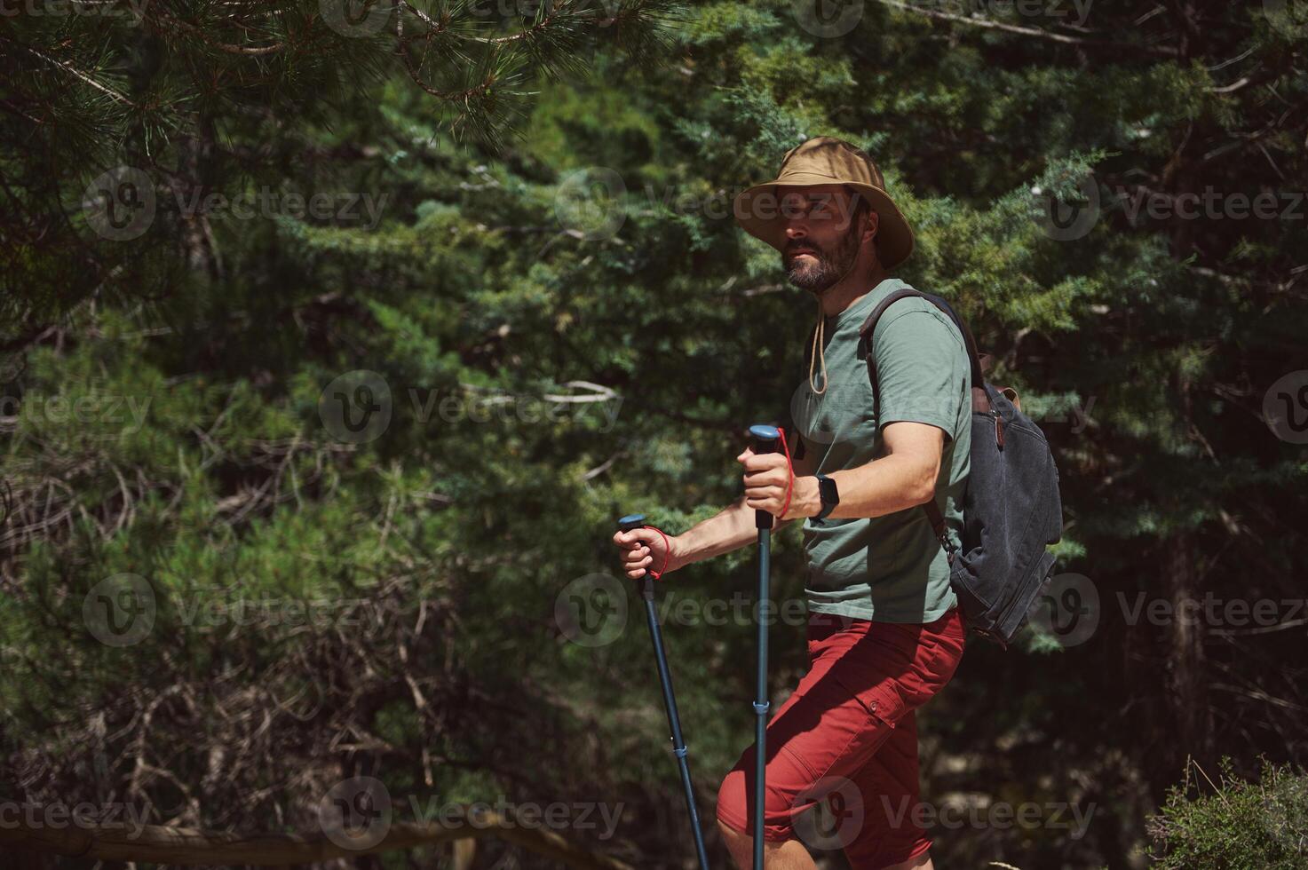 Man Hiking in Forest with Trekking Poles on a Sunny Summer Day photo