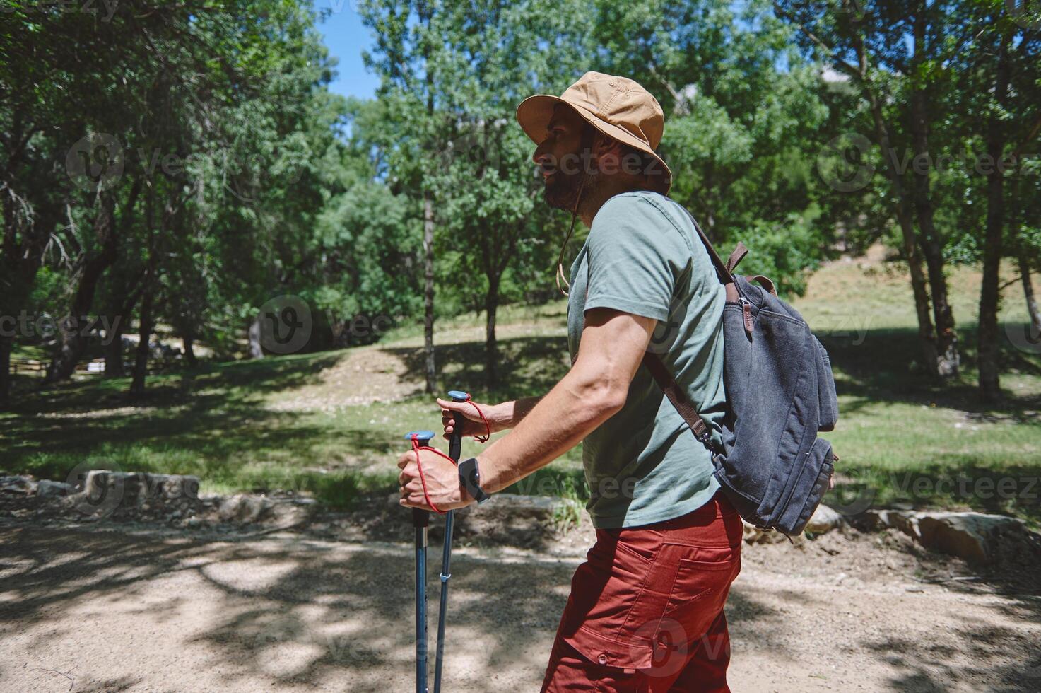 Adventurous Man Hiking in Forested Mountains Carrying Backpack and Trekking Poles photo