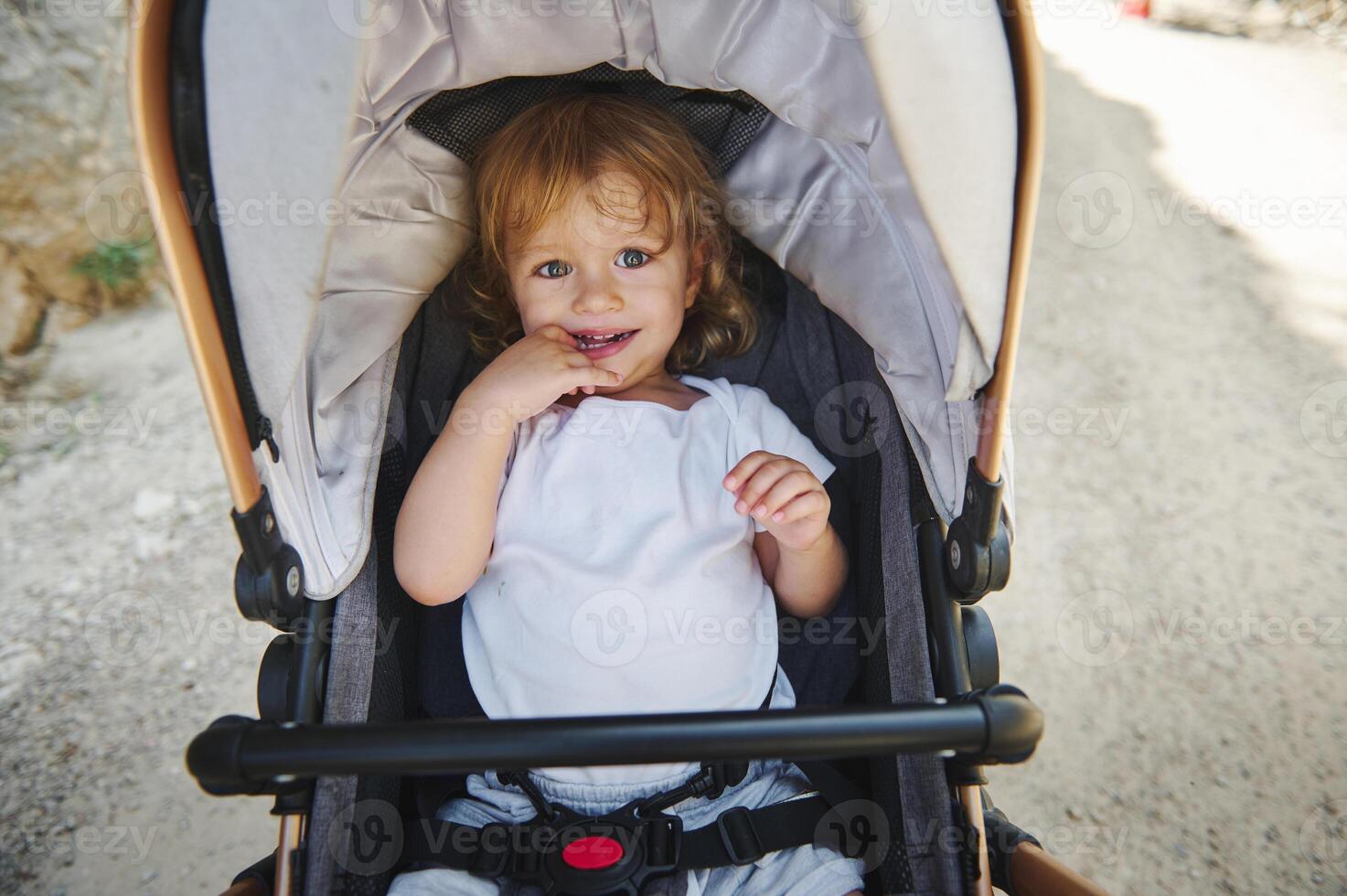 Young Child Smiling in a Stroller During an Outdoor Stroll on a Sunny Day photo