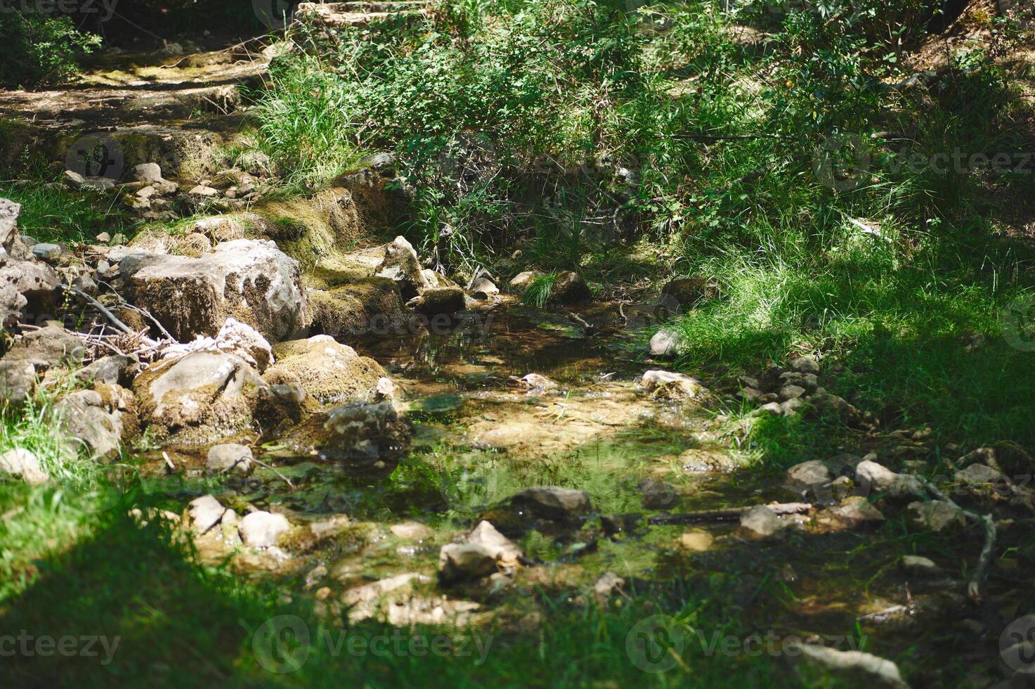 Tranquil Forest Stream Flowing Peacefully Through Nature photo