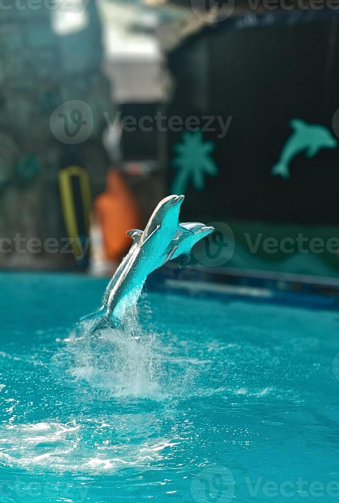 Joyful Dolphins Performing a Synchronized Jump at the Aquarium photo