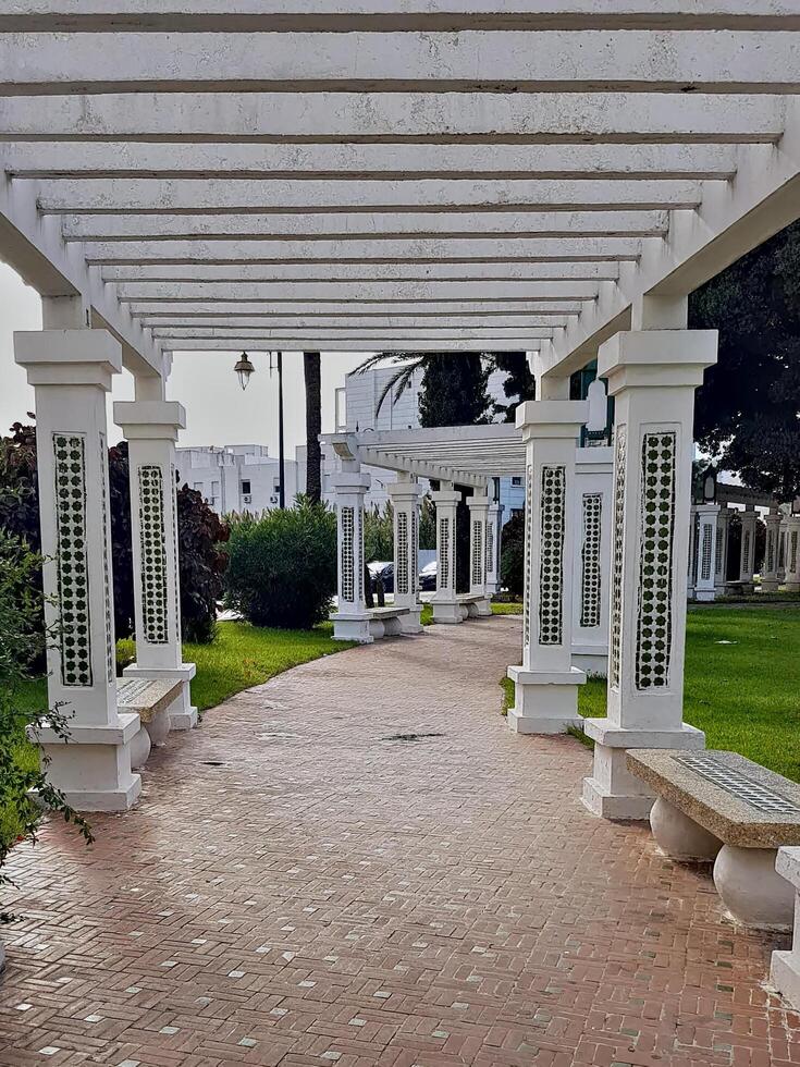 Decorated columns adorned with vibrant green tiles in Tetouan, one of Morocco,s most beautiful cities, showcase a unique blend of captivating cultural and artistic heritage photo