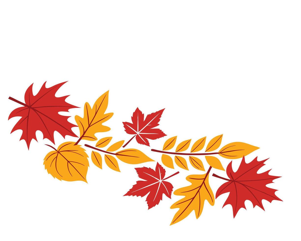 Autumnal Leaves Arrangement in Red and Yellow on White Background vector