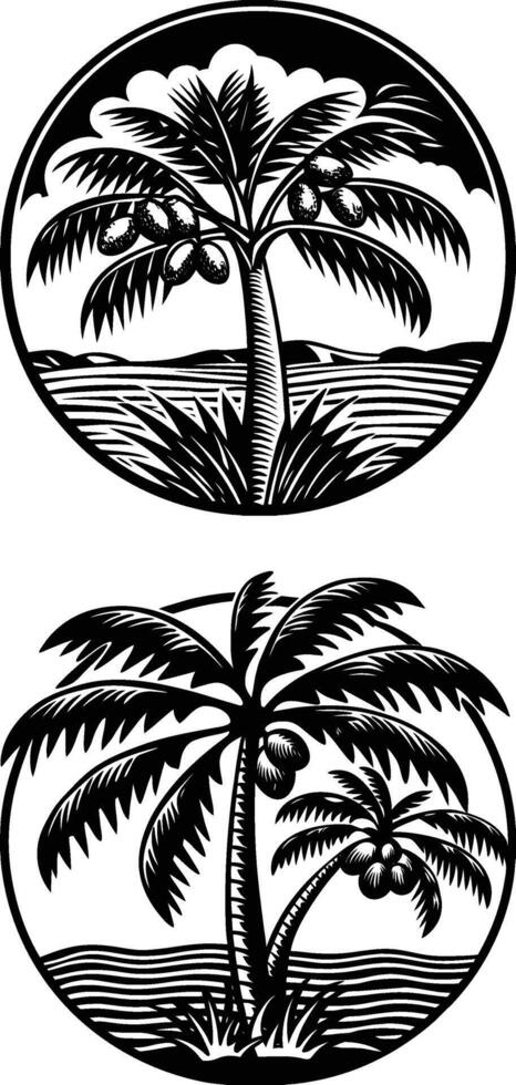 Tropical Coconut Palm Trees in Circle Frames vector