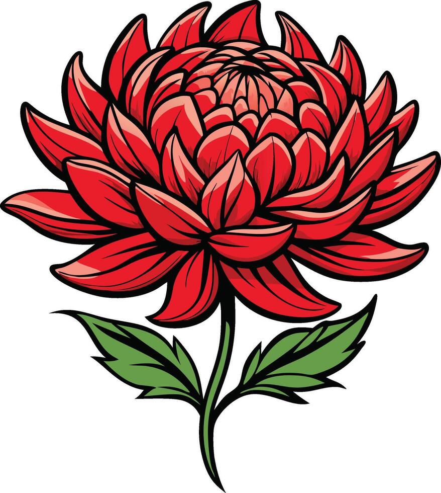 Red Chrysanthemum Bloom with Green Stem and Leaves vector