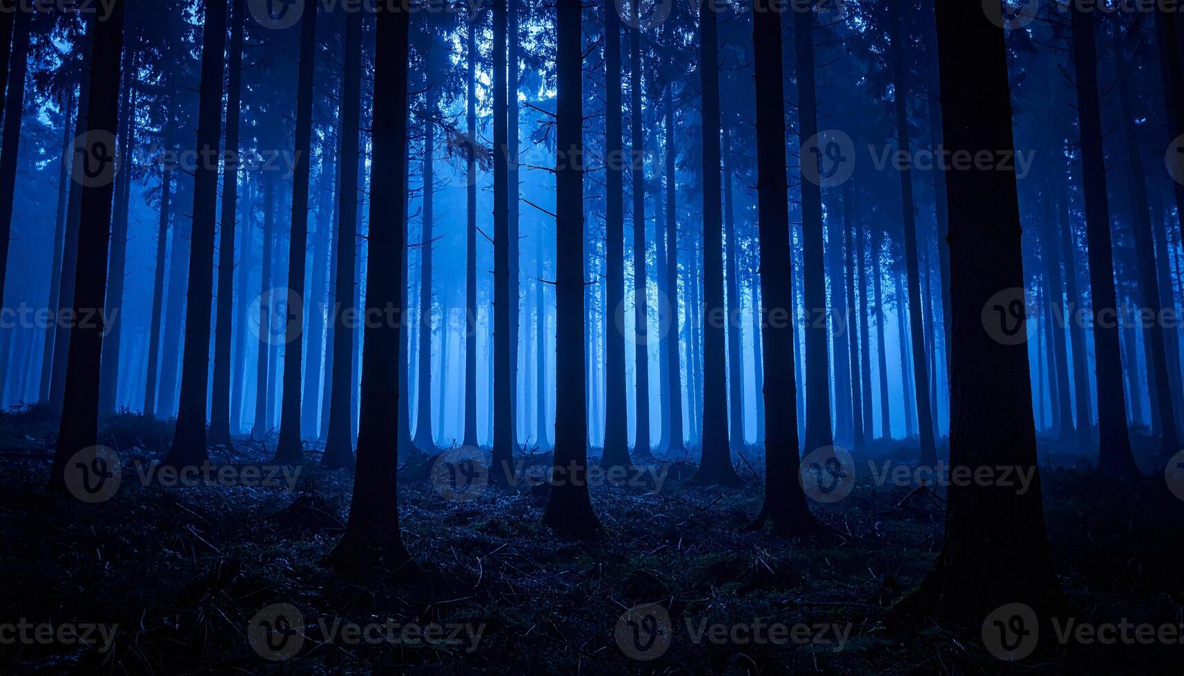 Silhouettes of trees in mystic forest. Dark blue natural landscape. photo