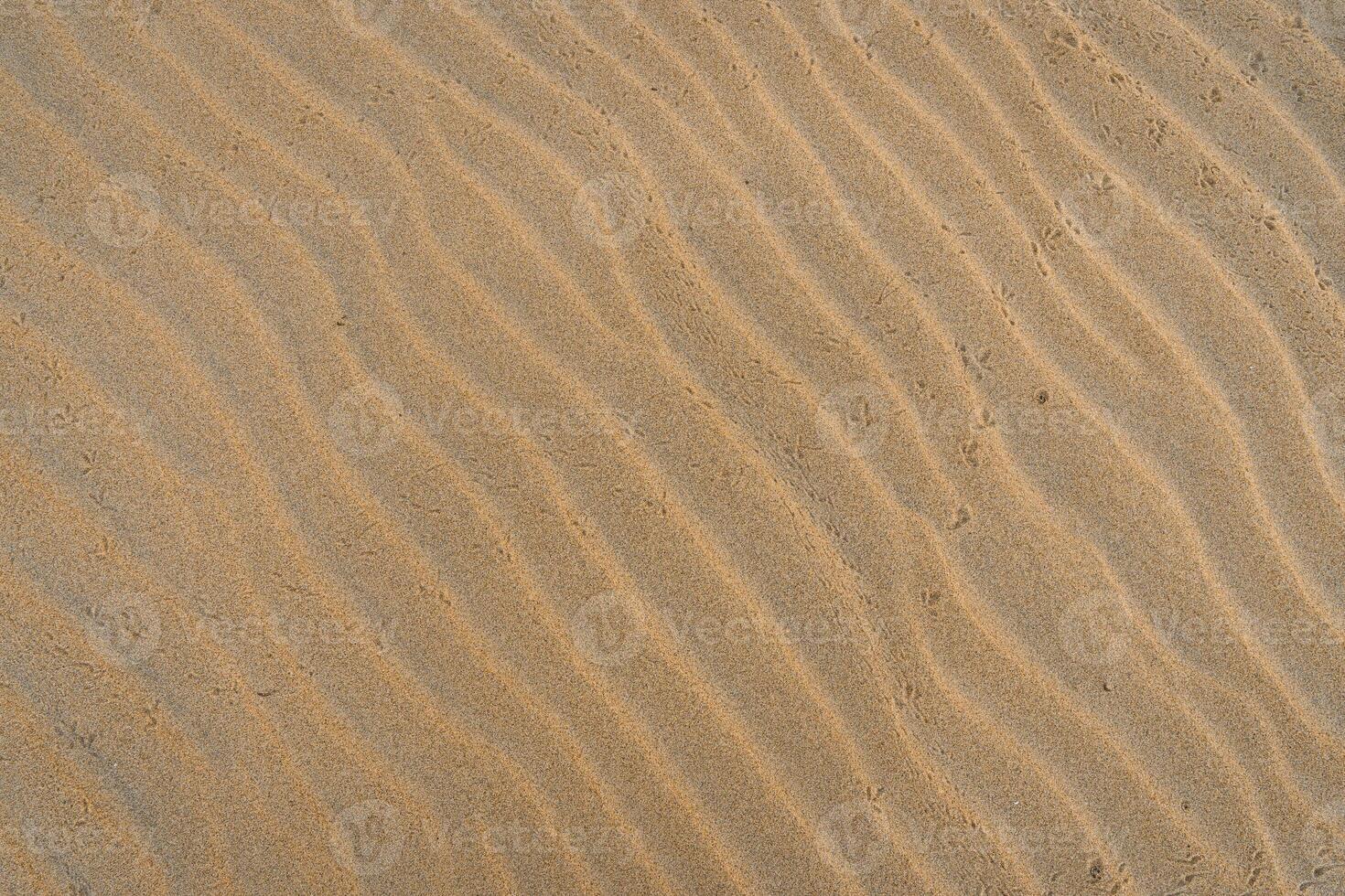 Yellow Sand Relief, Top View photo