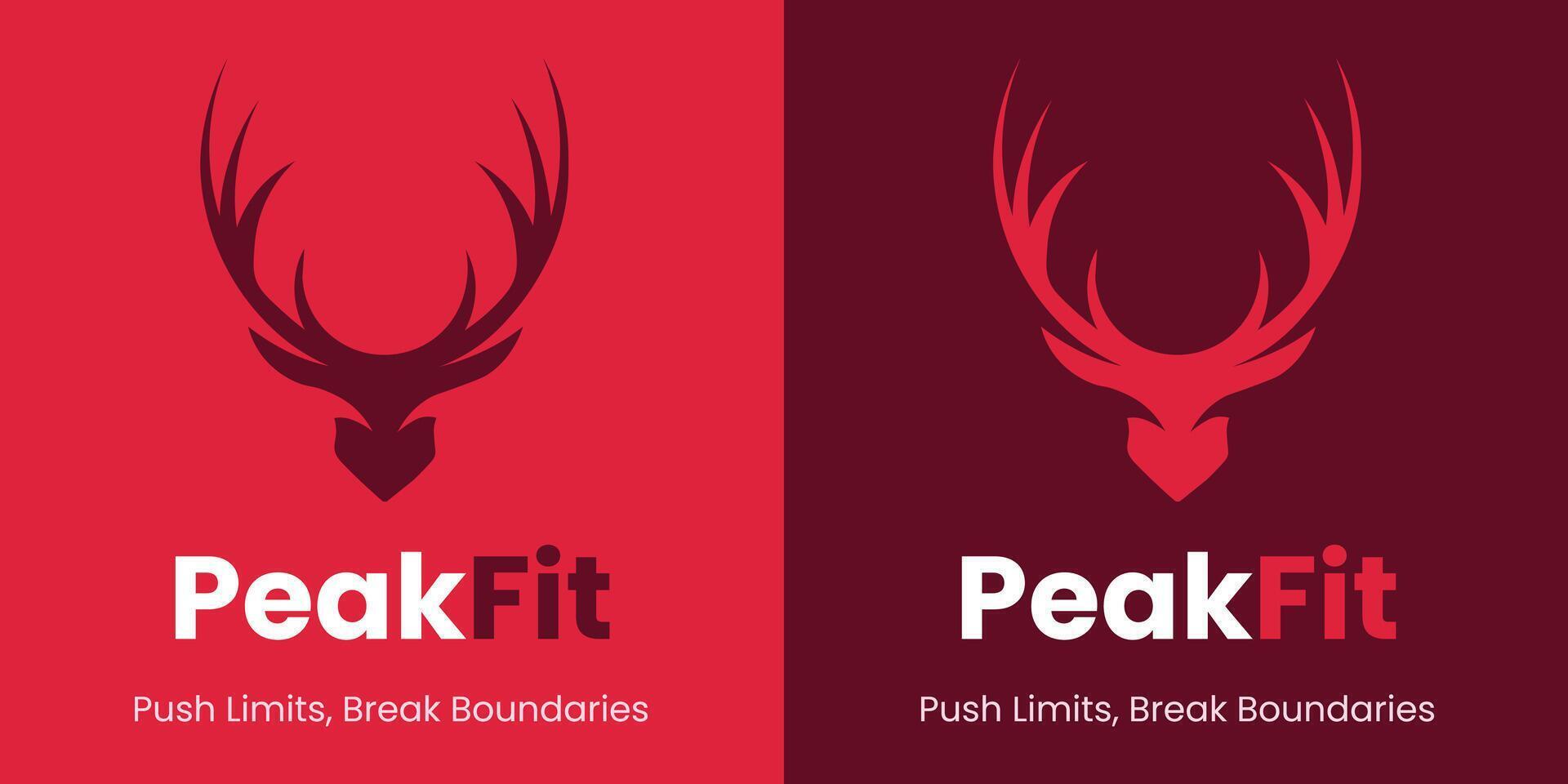 Peak Fit Logo vector