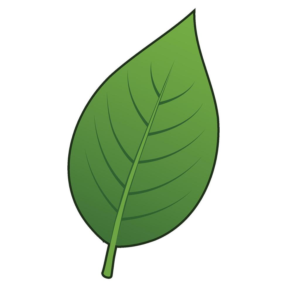 Fresh Green Leaf - Nature's Simplicity illustration vector