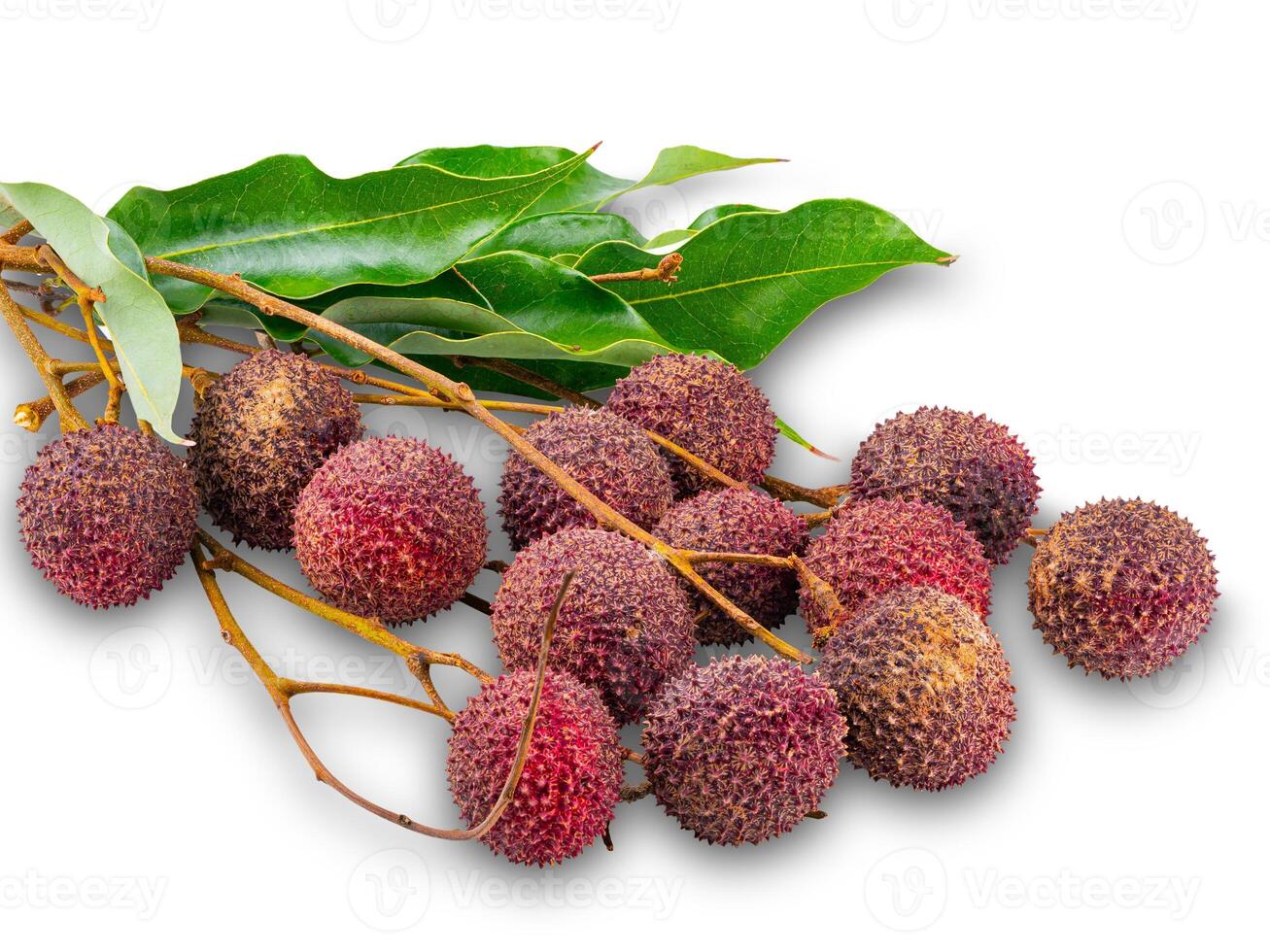 Group of ripe Lychee with stem and green leaves isolated on white background. photo