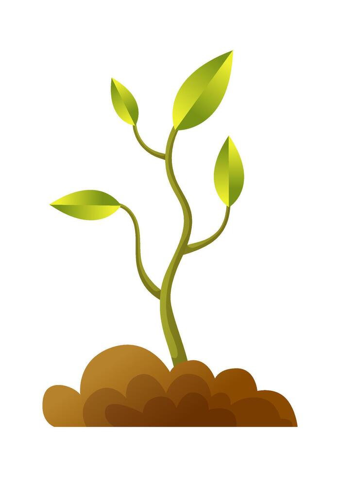 A small plant is now growing out of the ground successfully vector