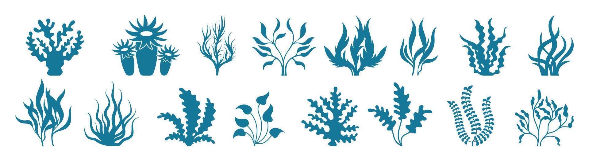 Ocean Plants and Marine Foliage Set. Underwater Seaweed and Aquatic Botanical Elements vector