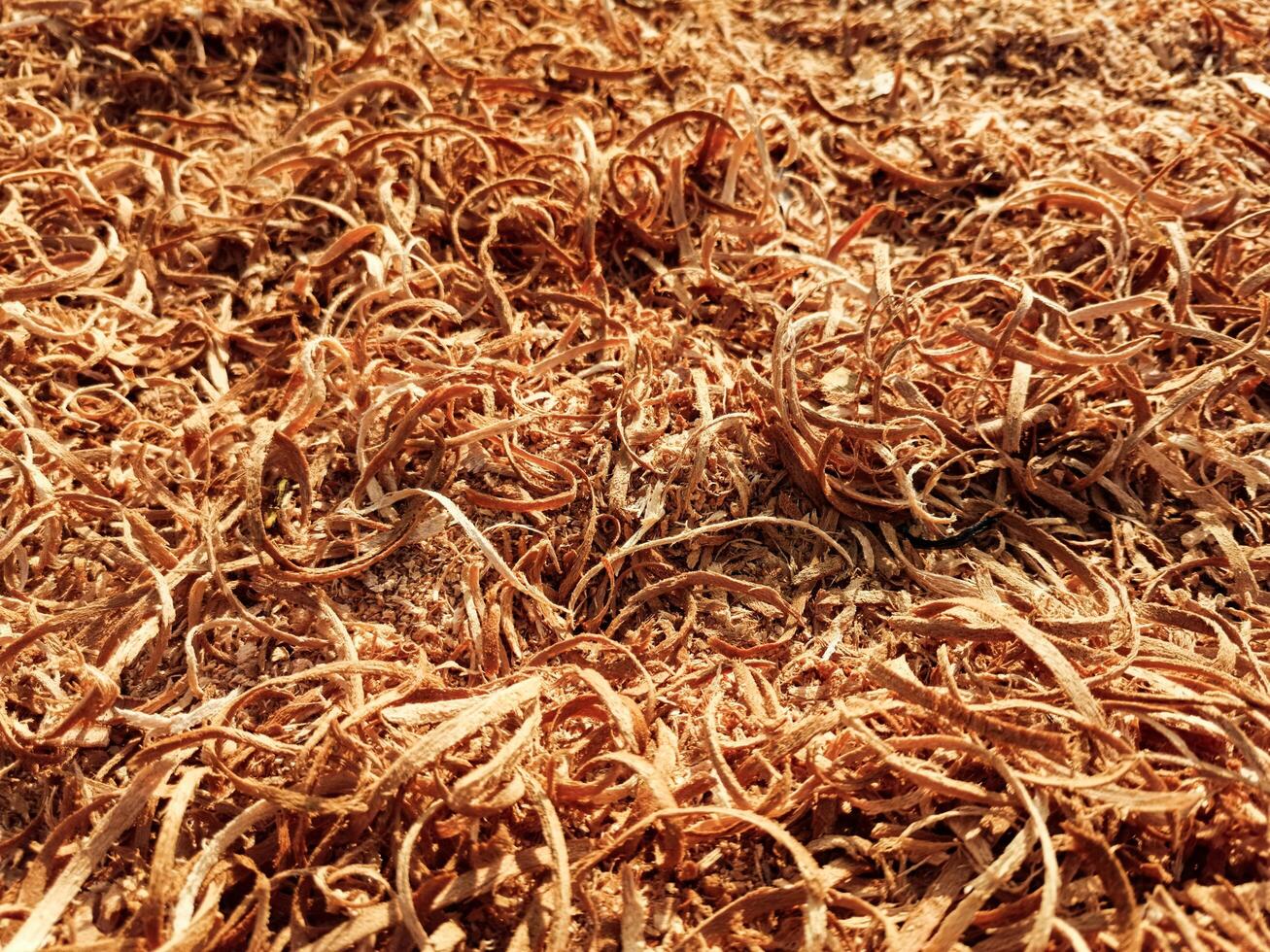 Close up view of freshly cut brown wood shavings and sawdust material wood chips photo