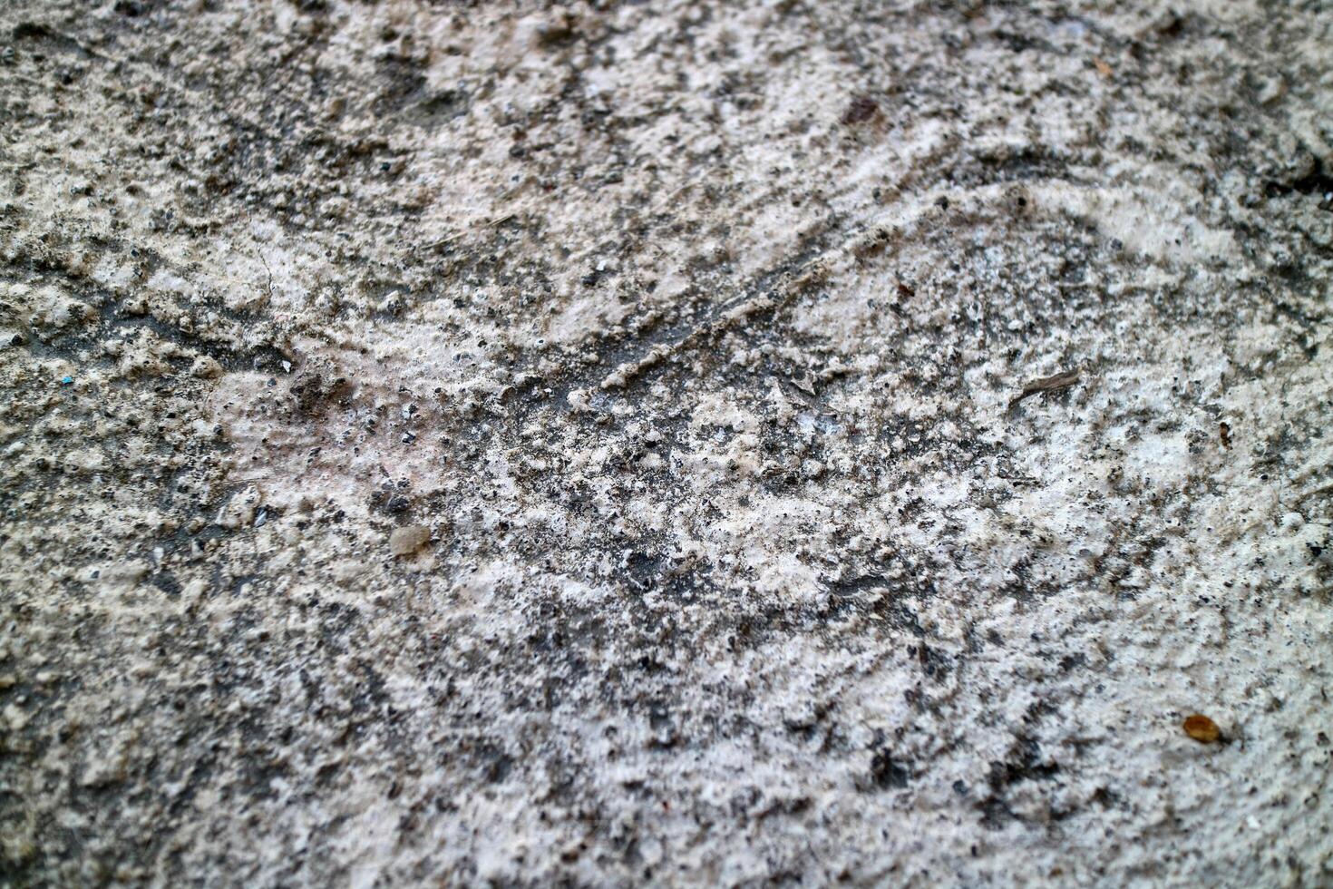 Textured Surface with Dirt and Debris photo