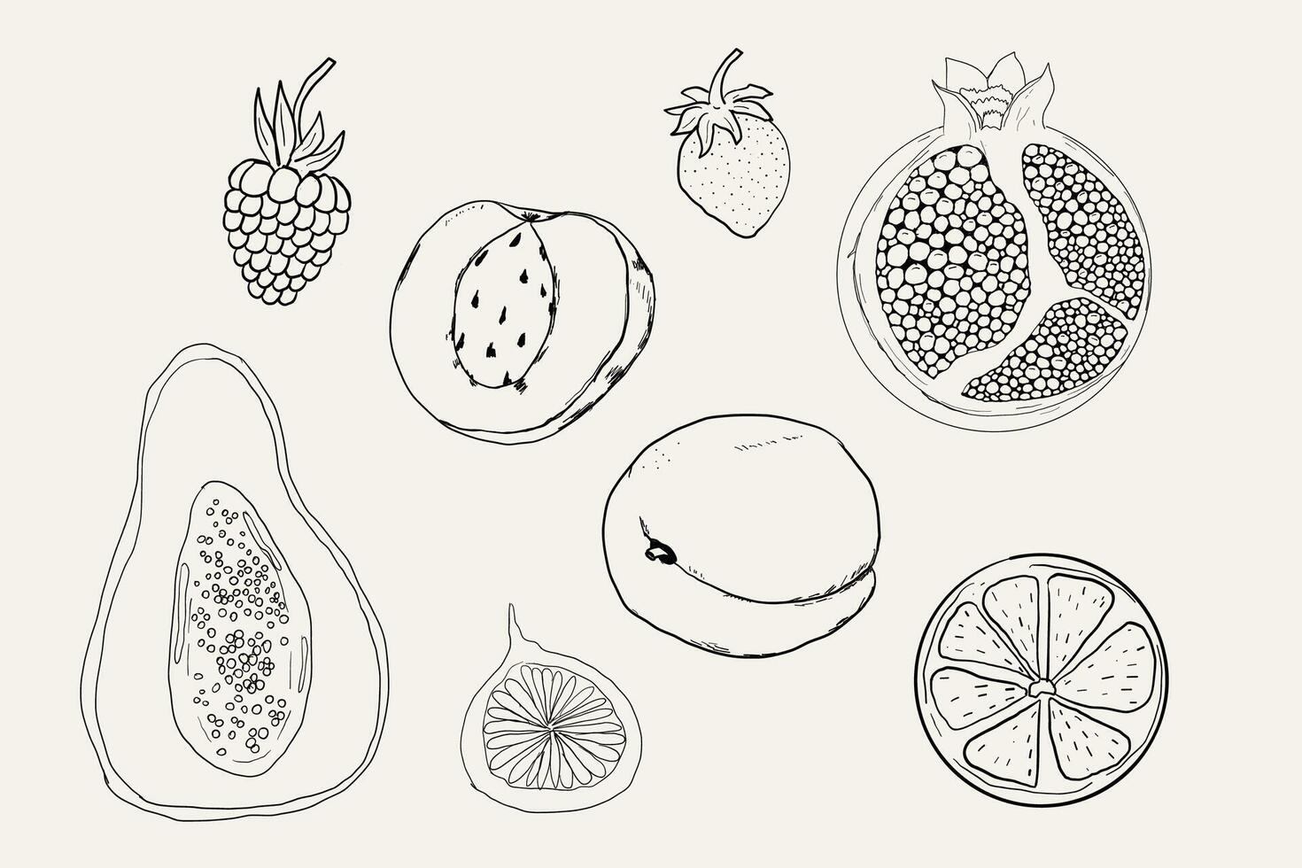 Sketch set fruits, hand-drawn tropical fruits and berries. Sweet fresh sliced kiwi, peach and pomegranate, cute cherry and strawberry. Pear with leaves. Coconut slice and half figs. vector