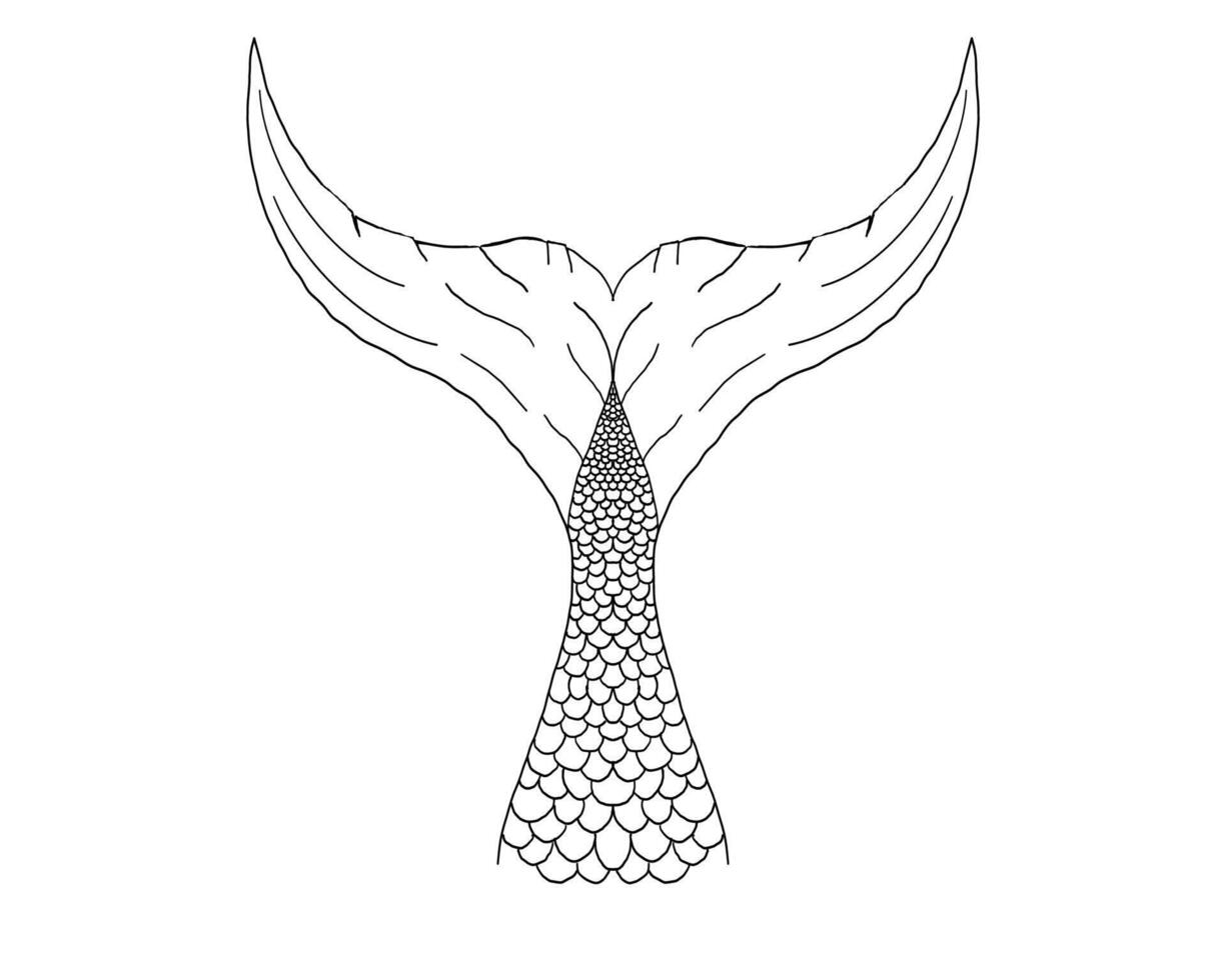 Hand drawn mermaid tail illustration with wave lines and fantasy elements. Tattoo-style black outline for sea-inspired, feminine, or mythological projects. vector