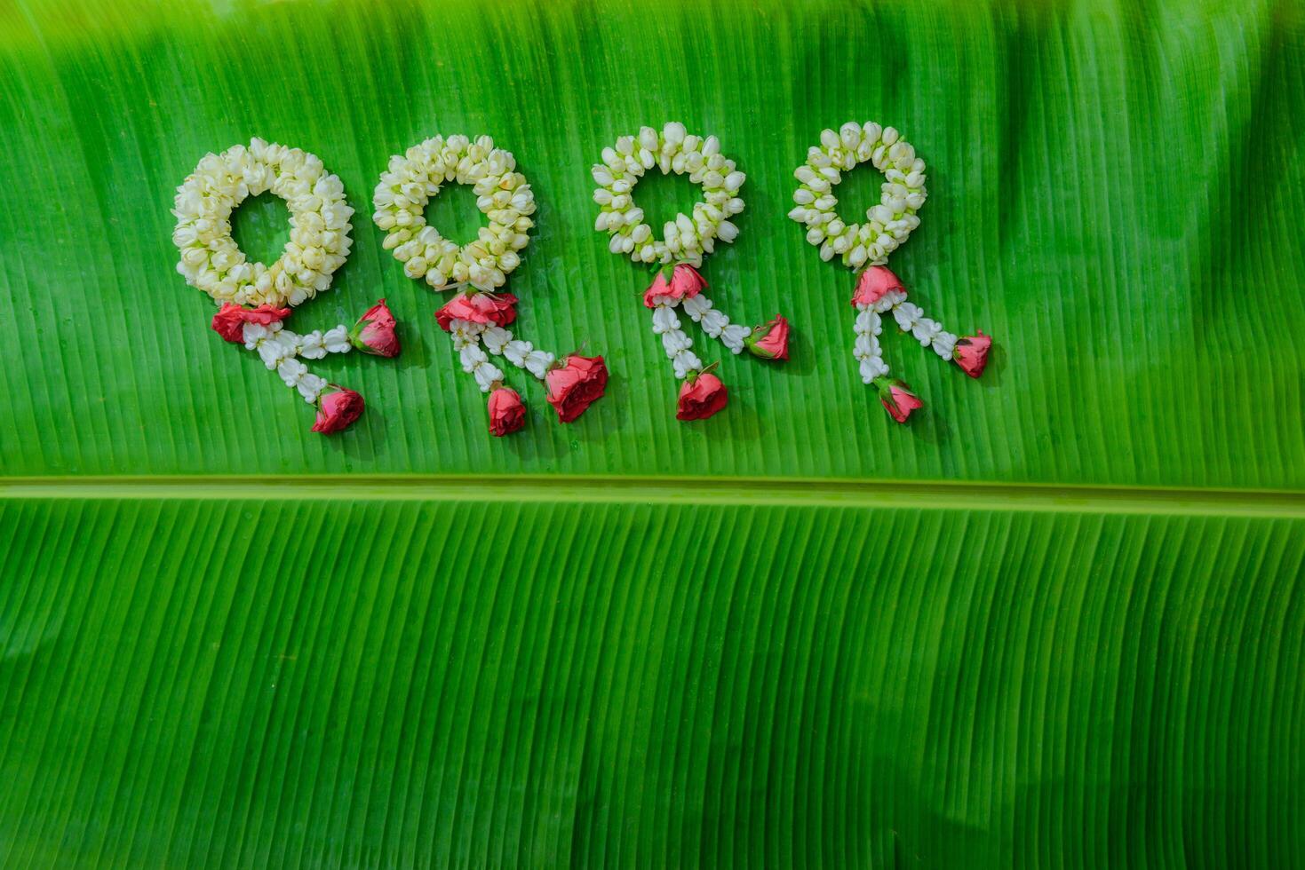 Thai traditional jasmine garland.symbol of Mother's day in thailand on Banana leaf top view photo