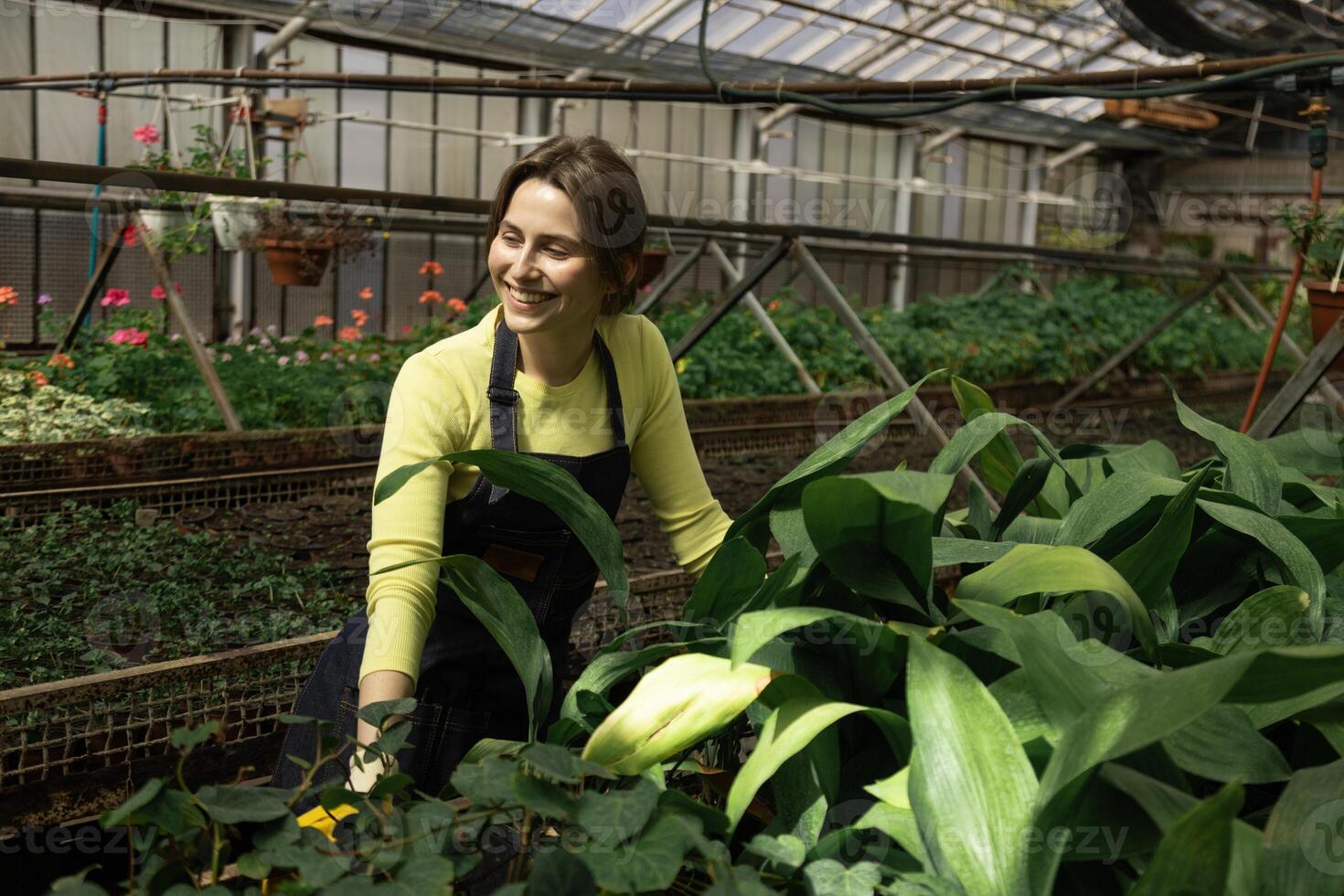 Female plant worker studies plant development with quiet concentration. photo
