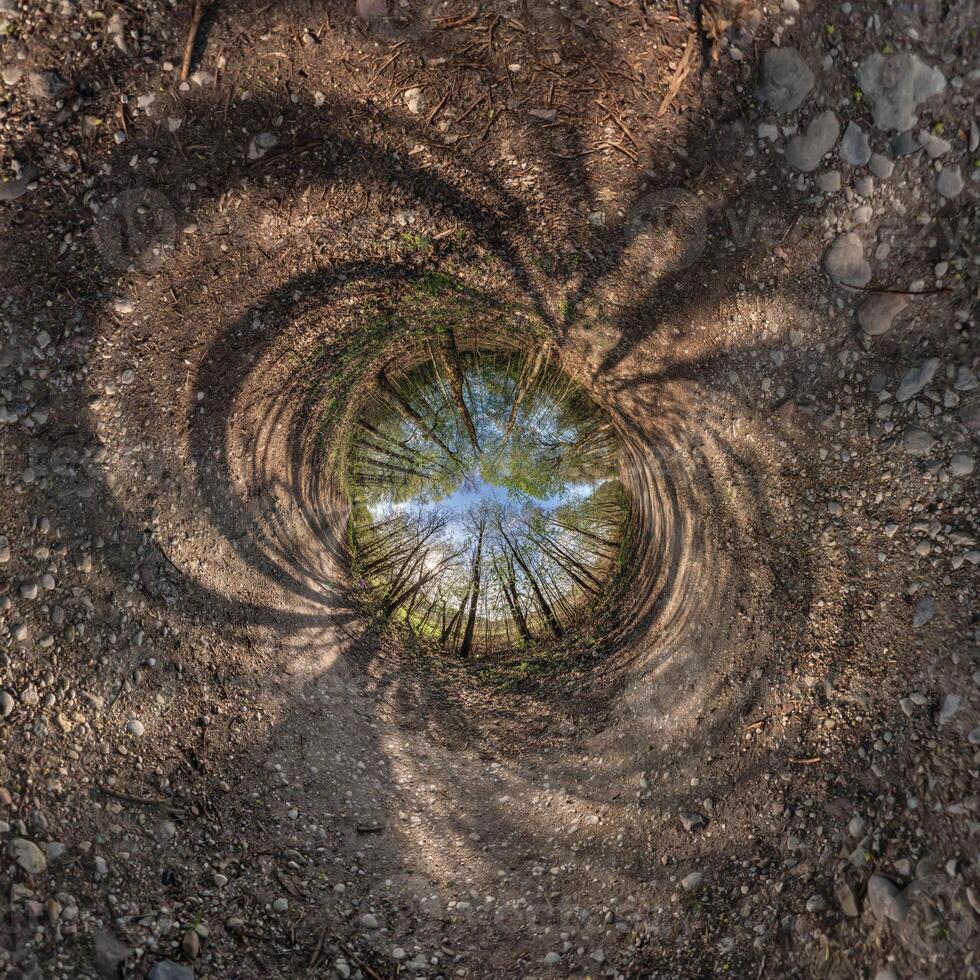 A circular view of a forest with trees photo