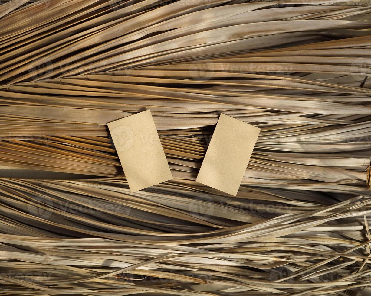 Real photo cards blank brown beige dry palm leaf natural tropical plant aesthetic mockup design template