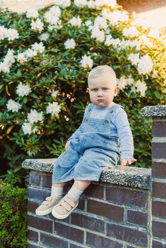 An adorably cute toddler is sitting cheerfully on a stone wall, surrounded by a spectacular array of blooming flowers within a beautifully bright and inviting garden setting filled with sunshine photo