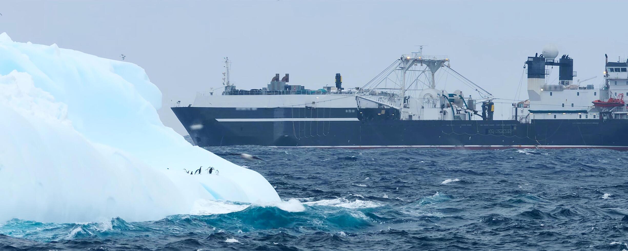 Large ship and ice floe in the open sea. photo