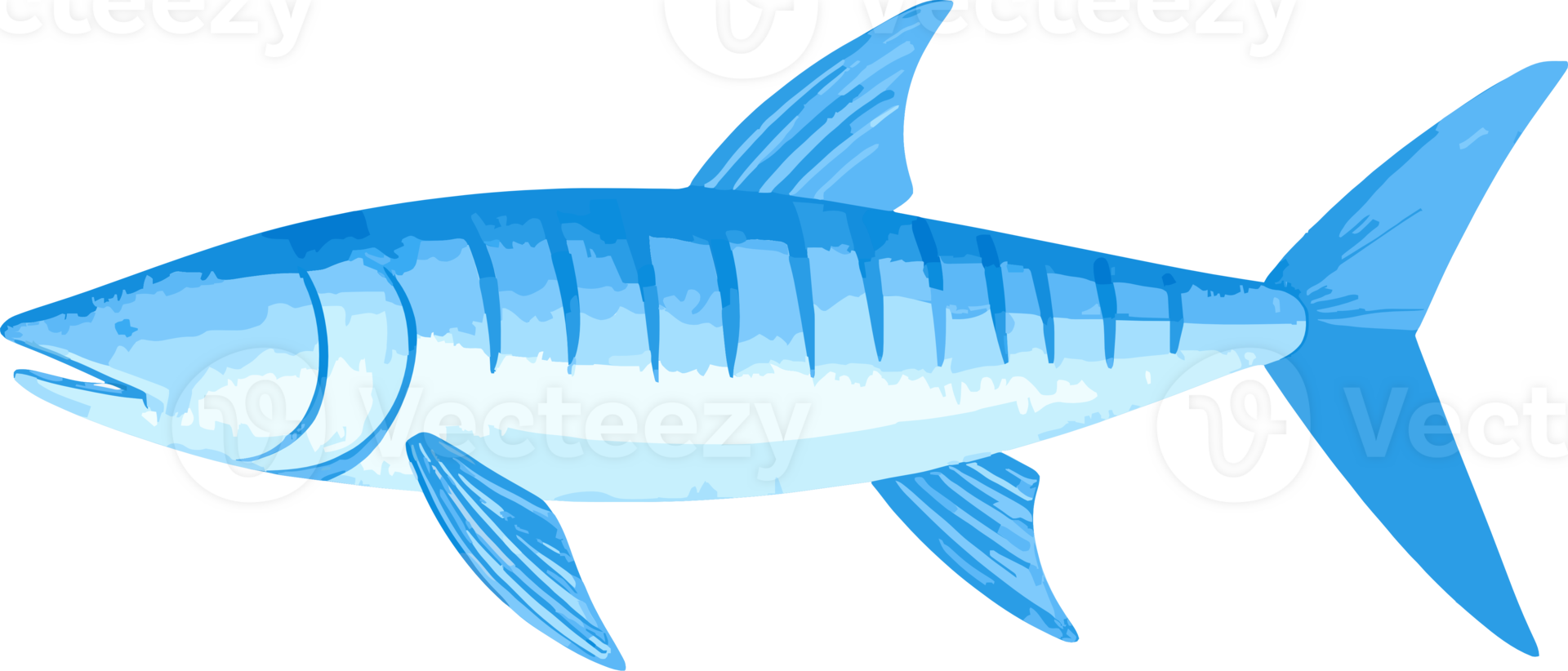 Barracuda fish watercolor illustration png