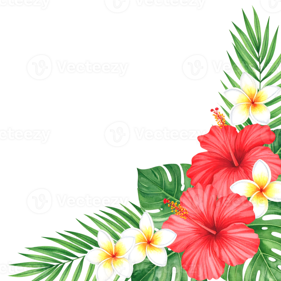 Watercolor illustration of summer plants border png