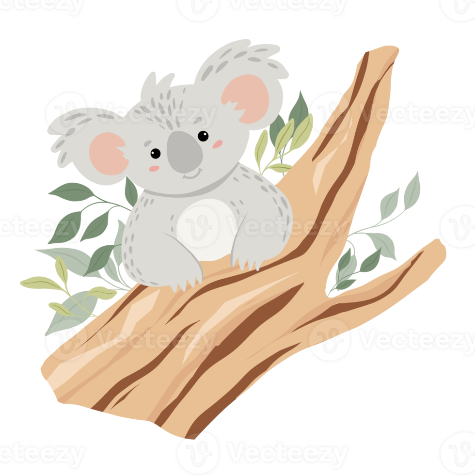 A cute koala on branch png