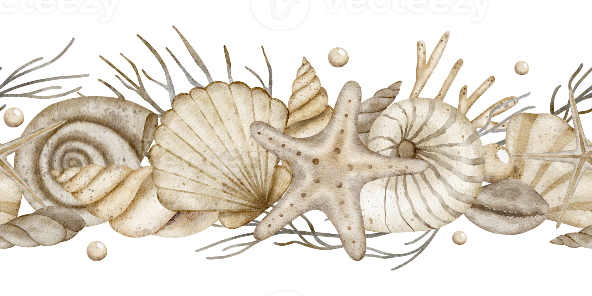 Watercolor starfish shells corals seamless border, illustration on transparent background for greeting card, banner bathroom, wallpaper invitation png