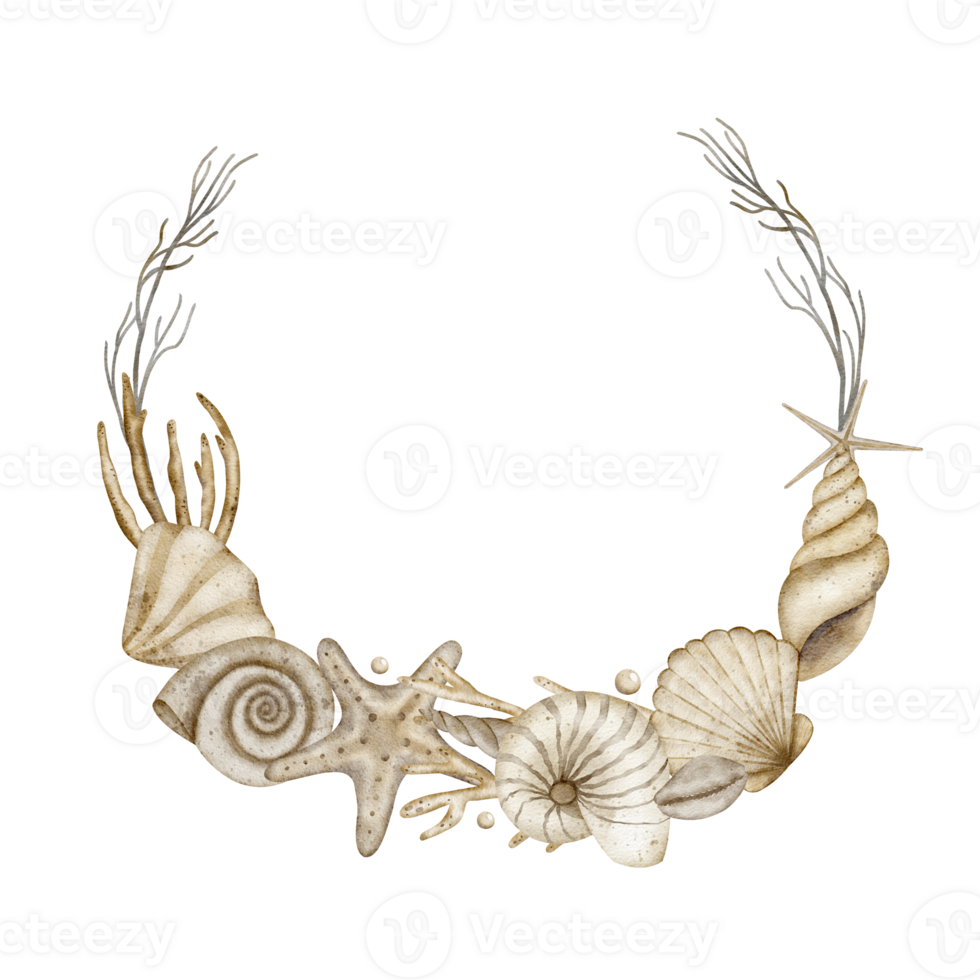 Watercolor wreath of shells, starfish, corals. Illustration on transparent background for congratulations, cards, dishes, cosmetics, clothes, packaging, posters png