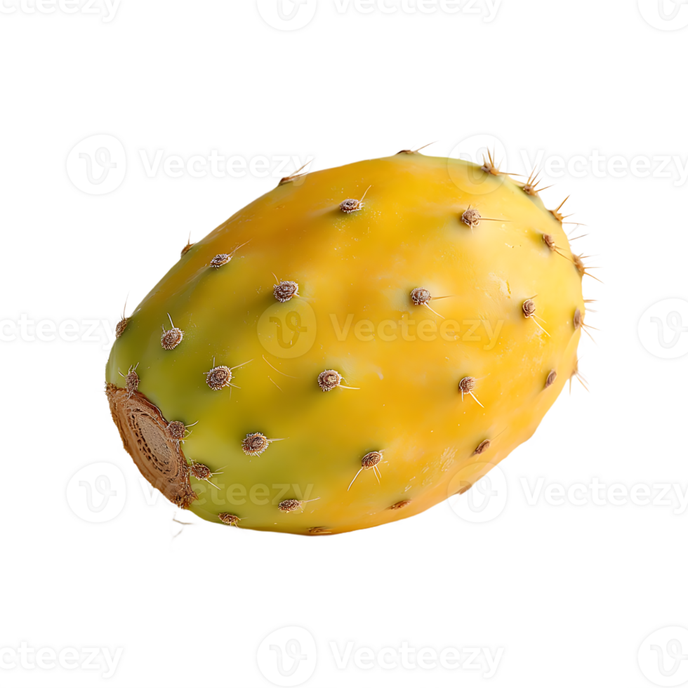 Ripe prickly pear fruit showing texture and color png
