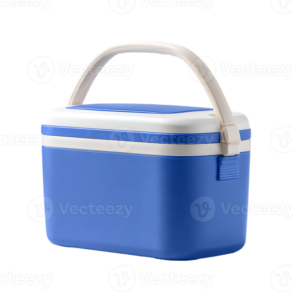 Blue and white portable food cooler with handle ideal for picnics and outings png