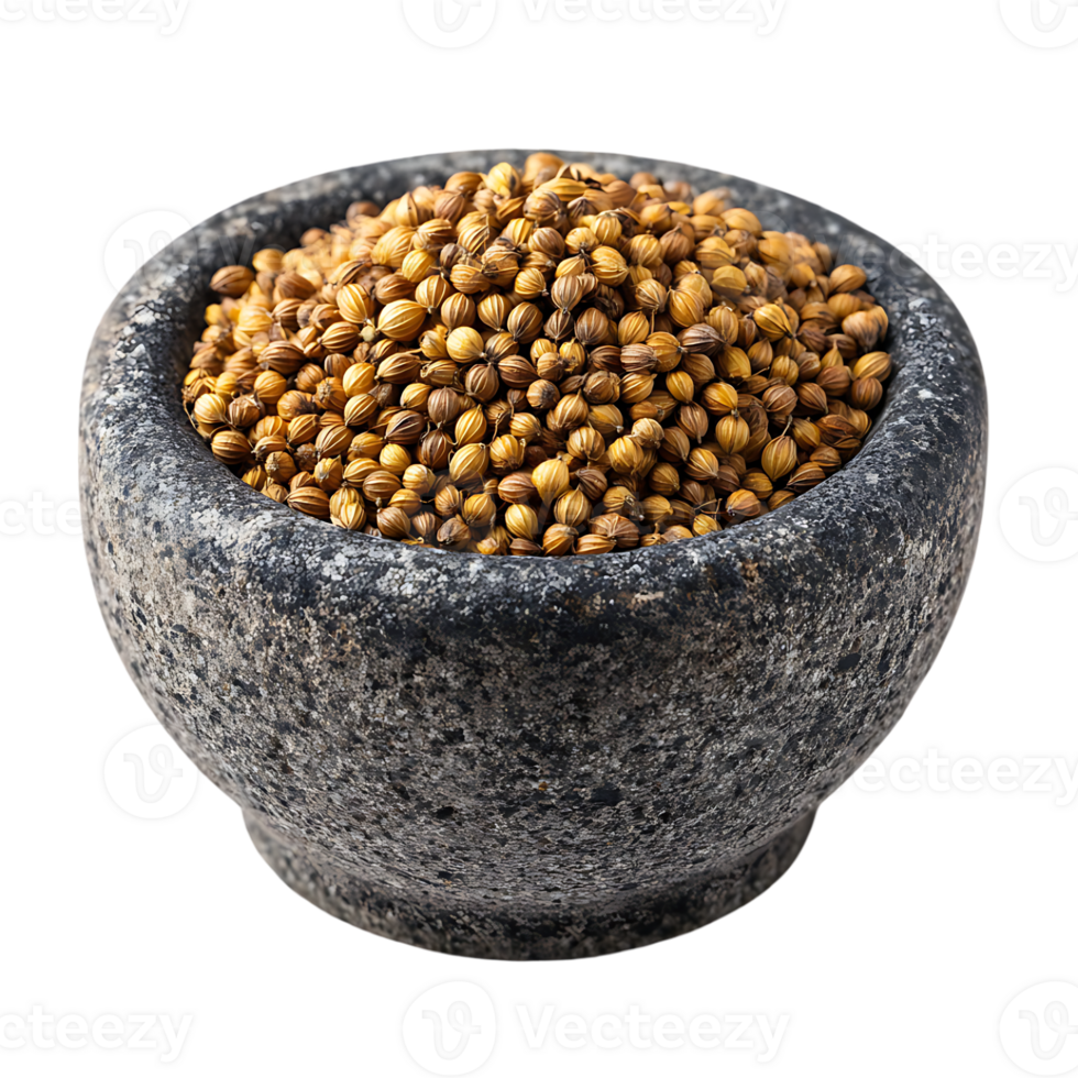 Coriander seeds in a stone bowl a spice closeup shot png
