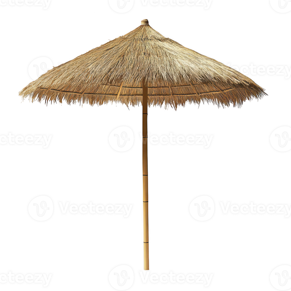 Thatch parasol with bamboo pole on transparent background png