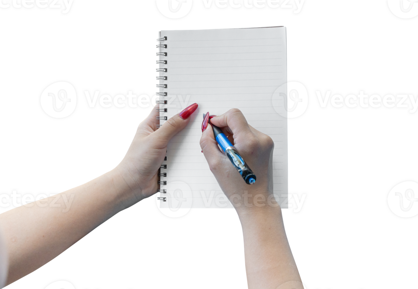 woman hands writing in empty notebook isolated on transparent png