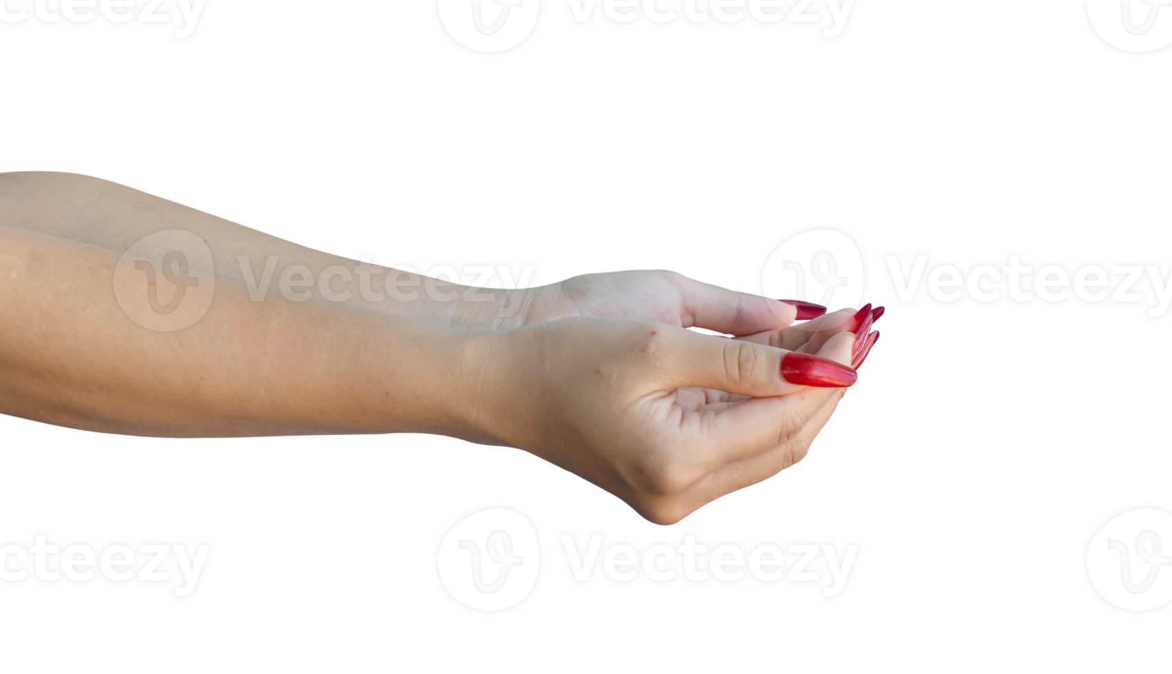 female open hand holding something isolated on transparent background, Format png