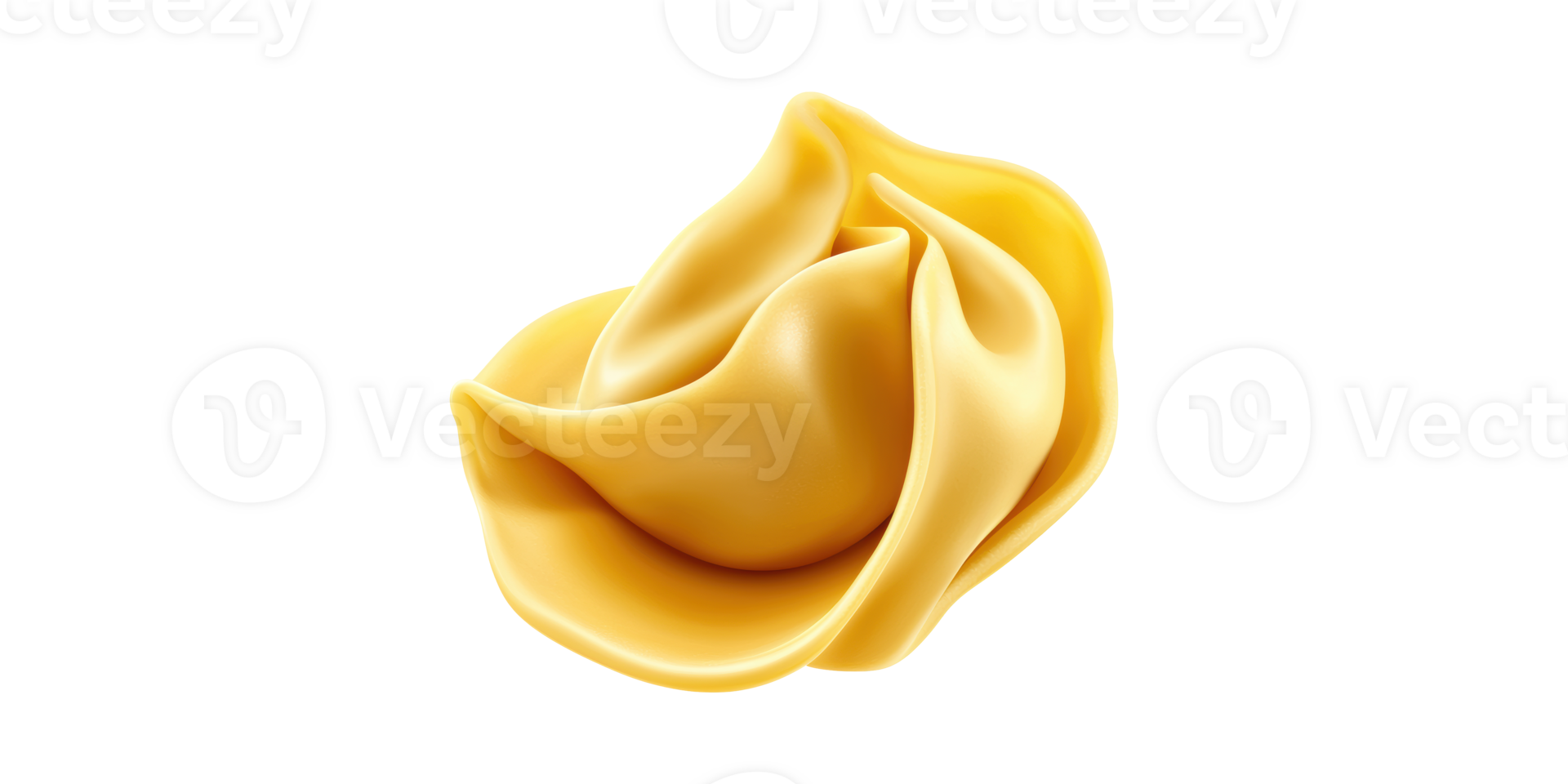 Folded piece of fresh pasta isolated on transparent background png