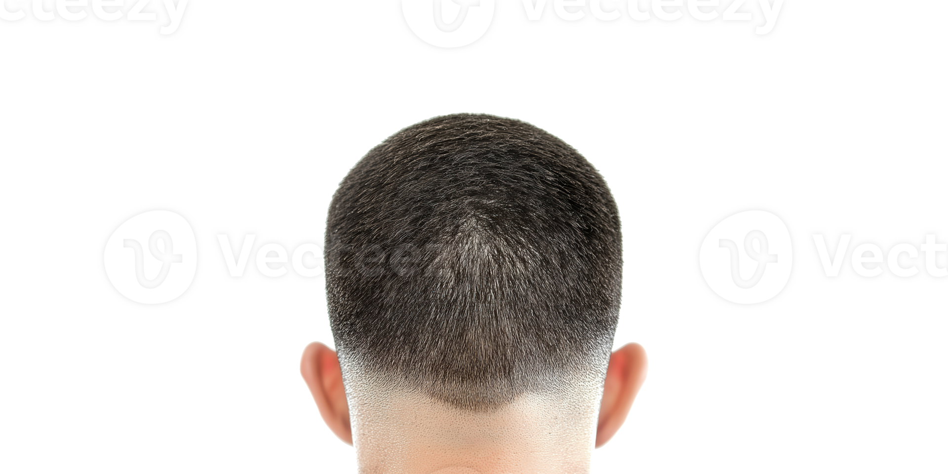 Close-up of a fresh men's haircut with fade viewed from behind isolated on transparent background png