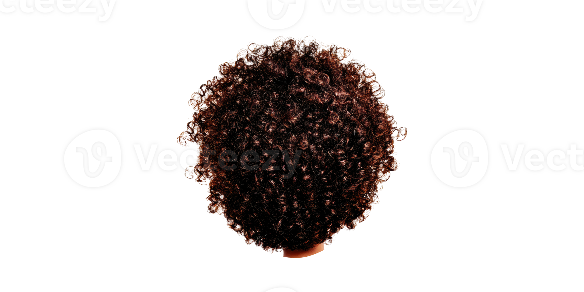 Curly hair wig with rich texture viewed from back isolated on transparent background png