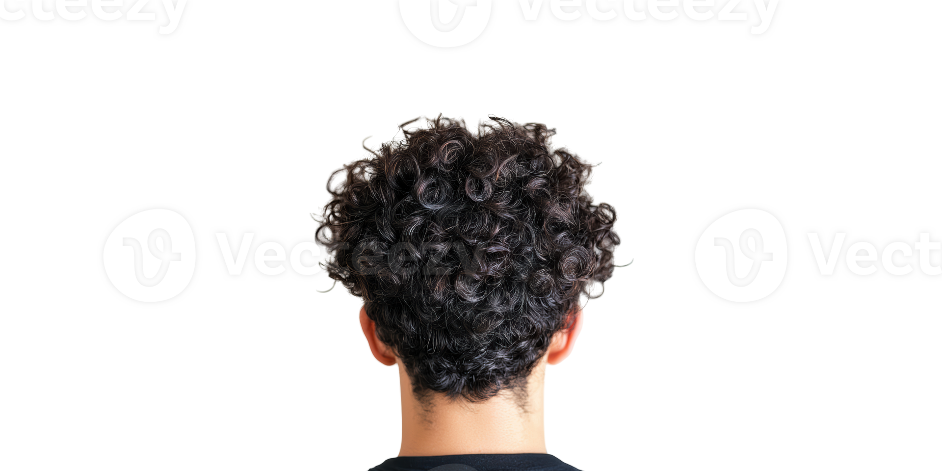 Curly black hair from rear view, isolated on transparent background png
