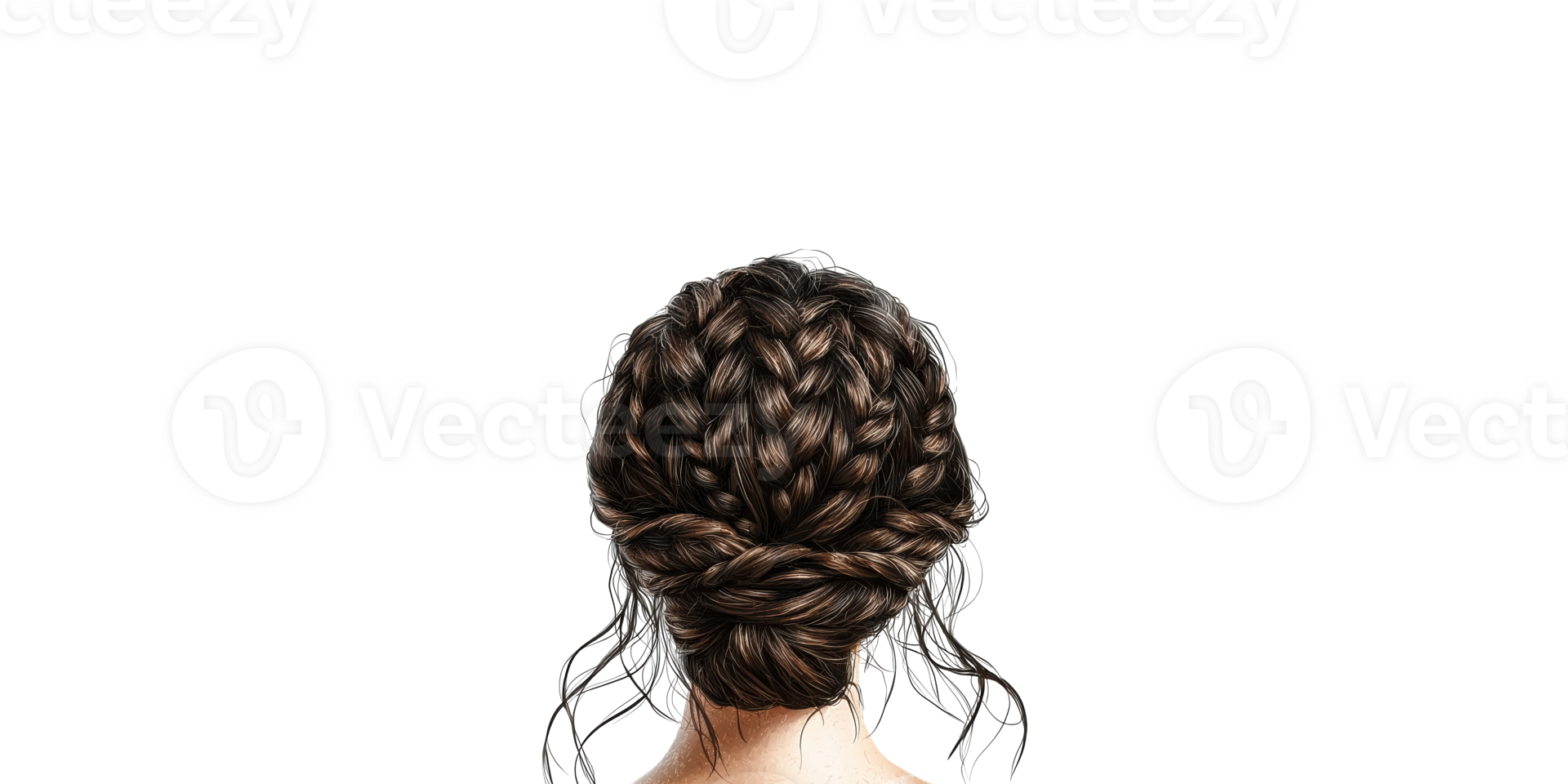 Intricate braided hair bun hairstyle viewed from the back isolated on transparent background png