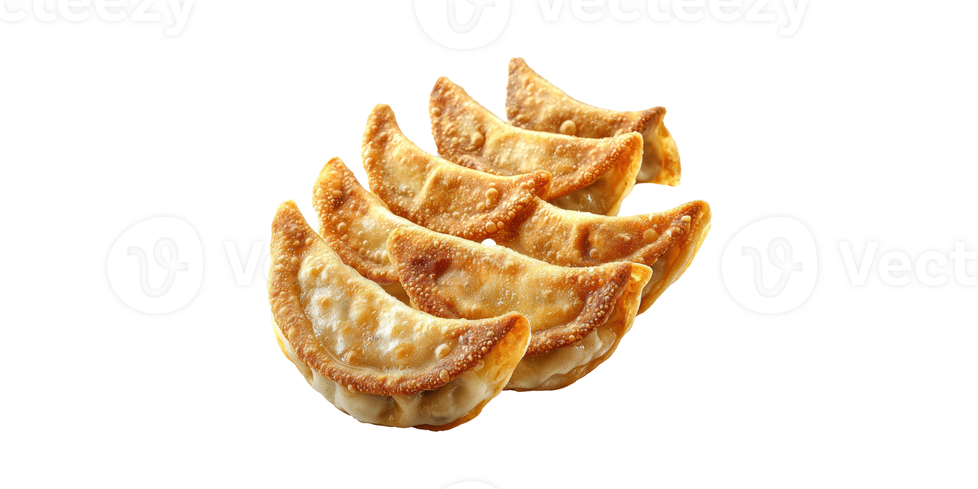 Fried dumplings arranged in a row isolated on transparent background png